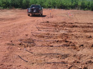high-res-Drip-Irrigation-Field